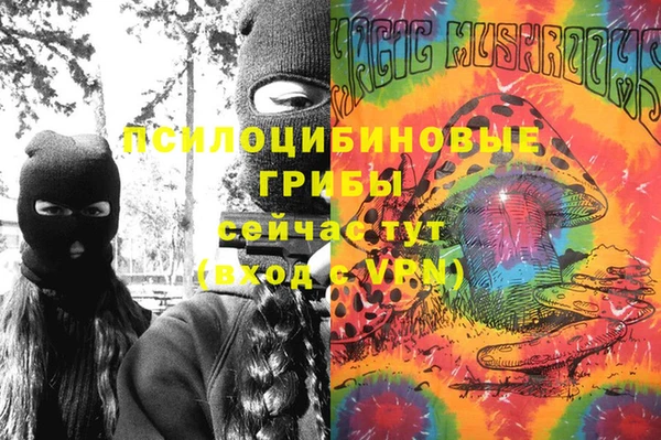 ешки Абинск