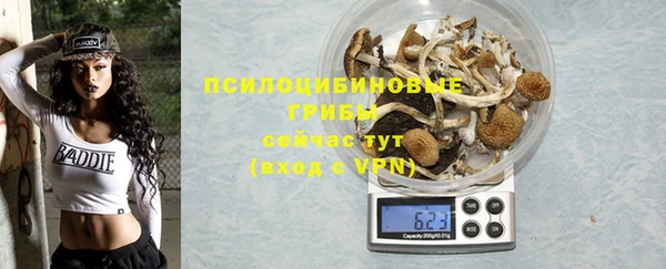 ешки Абинск