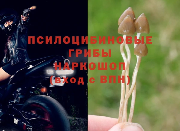 амф Пересвет